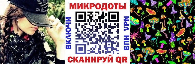 Псилоцибиновые грибы Psilocybe  Купить закладки  Жердевка 