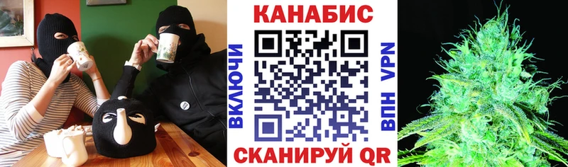 Купить  Жердевка  Шишки марихуана план 