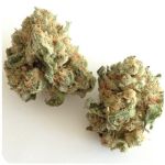 Шишки "White Widow"  (Белая вдова)  Гидропоника -  Бошка VHQ в Жердевке