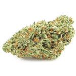 Шишки OG Kush  (Гидропоника, бошки) VHQ в Жердевке